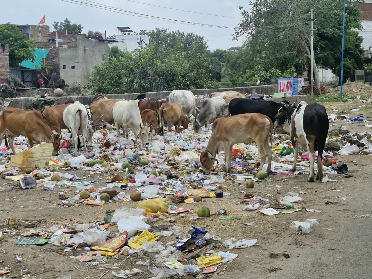 सुभाषनगर में श्रीराम पार्क बदहाली का शिकार, बाहर कचरे का अंबार, अंदर टूटी पड़ी बेंचें  